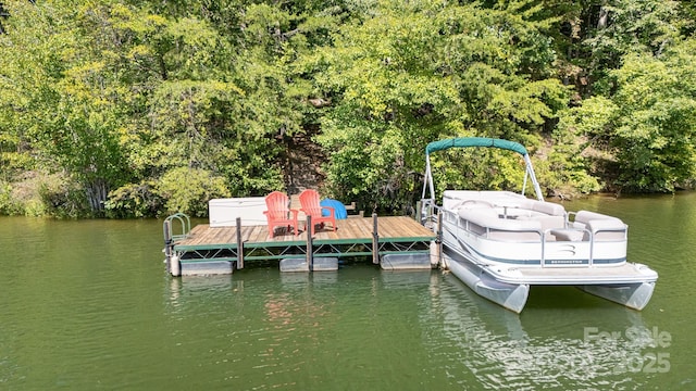 91 Island View Ct, Mill Spring, NC 28756 - dock with a water view