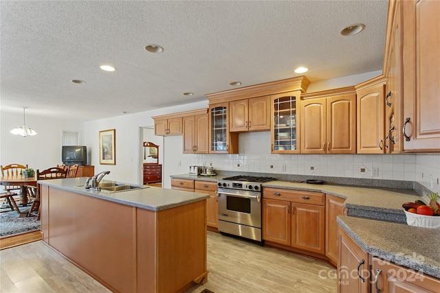 kitchen with a kitchen island with sink, light wood-type flooring, sink, and high end stainless steel range