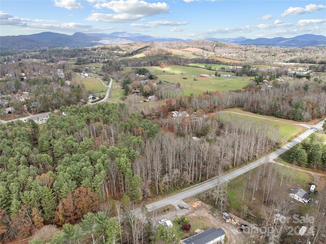 birds eye view of property with a mountain view