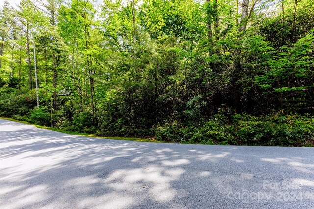 210 Wildberry Ct, Sapphire, NC 28774