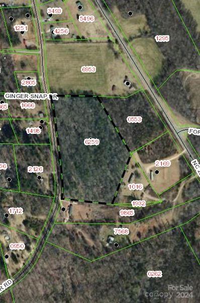 2020 Walker Rd Unit 2, Nebo NC, 28761 land for sale