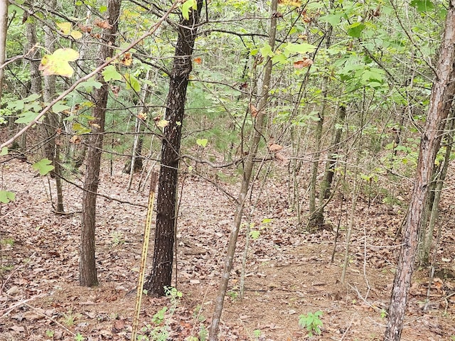 Listing photo 3 for LOT104 Boysenberry Dr, Nebo NC 28761