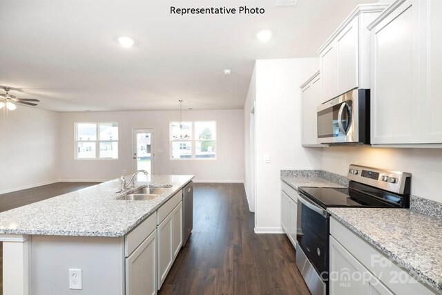 kitchen featuring a healthy amount of sunlight, stainless steel appliances, dark hardwood / wood-style flooring, sink, and a kitchen island with sink