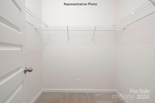 spacious closet with carpet floors