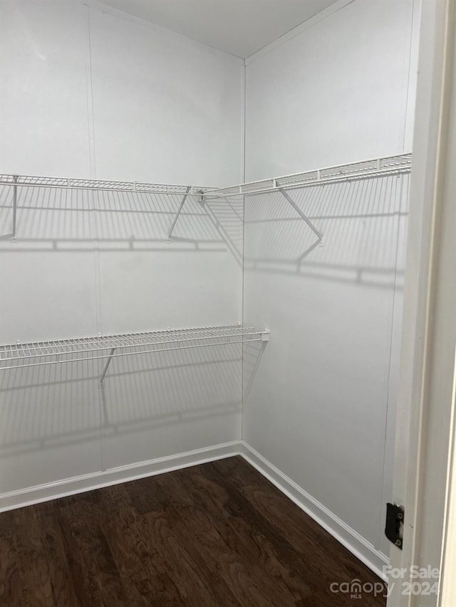 spacious closet with wood-type flooring