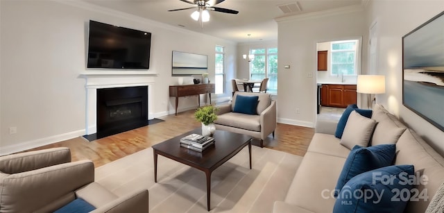 living room with crown molding, sink, ceiling fan, and light wood-type flooring