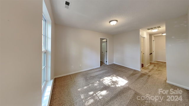 carpeted spare room with a textured ceiling and a wealth of natural light