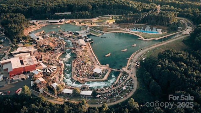 bird's eye view with a forest view