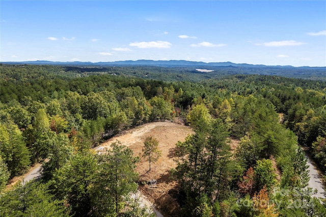 9028 Shortoff View Ter, Nebo NC, 28761 land for sale