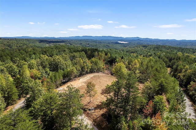 9028 Shortoff View Ter, Nebo, NC 28761