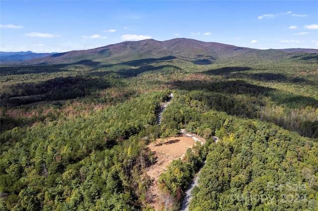 9028 Shortoff View Ter, Nebo, NC 28761