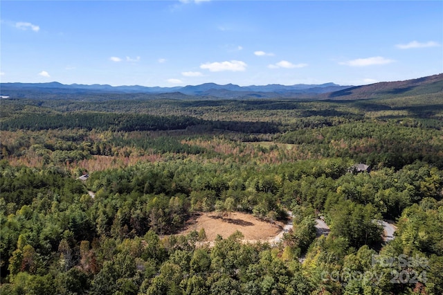 9028 Shortoff View Ter, Nebo, NC 28761