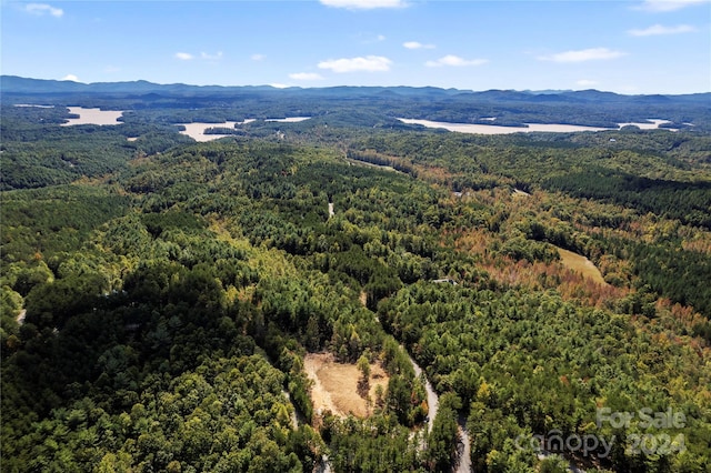 9028 Shortoff View Ter, Nebo, NC 28761
