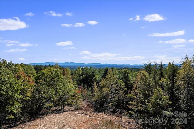 9028 Shortoff View Ter, Nebo, NC 28761