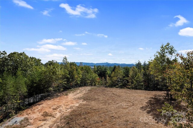 9028 Shortoff View Ter, Nebo, NC 28761