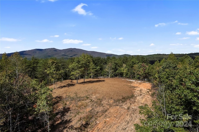9028 Shortoff View Ter, Nebo, NC 28761