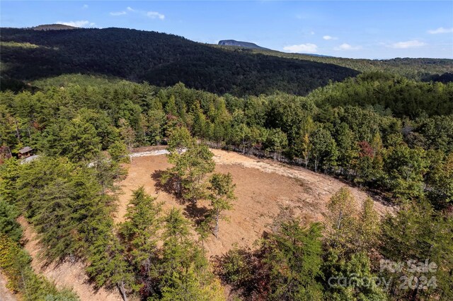 9028 Shortoff View Ter, Nebo, NC 28761