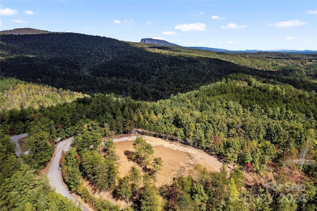 9028 Shortoff View Ter, Nebo, NC 28761