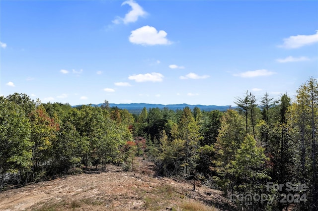 9028 Shortoff View Ter, Nebo, NC 28761