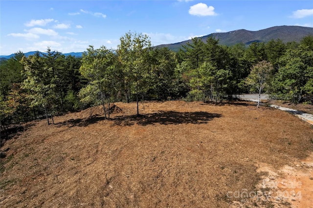 9028 Shortoff View Ter, Nebo, NC 28761