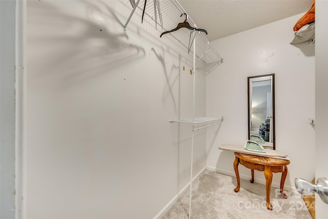 walk in closet featuring light colored carpet