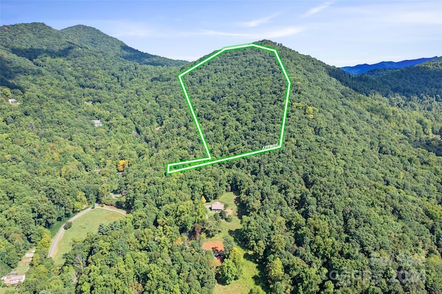 99999 Moody Cove Rd, Weaverville NC, 28787 land for sale