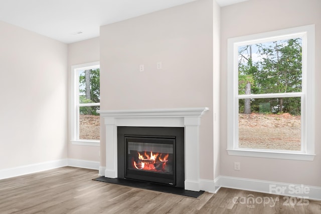 room details with hardwood / wood-style flooring