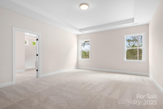 spare room with a raised ceiling and light carpet