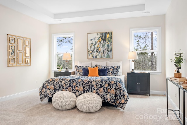 bedroom featuring a raised ceiling and light carpet