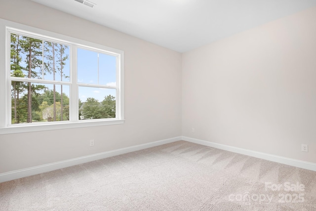 spare room with a healthy amount of sunlight and carpet flooring