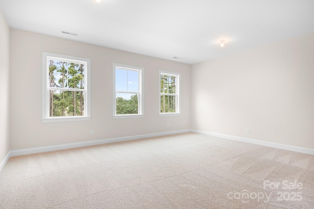 empty room featuring light carpet and a healthy amount of sunlight