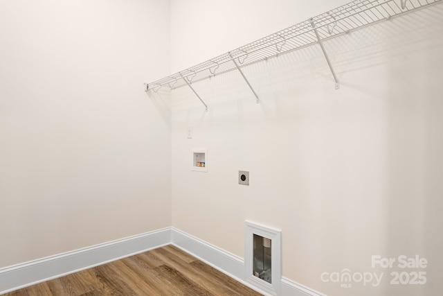 clothes washing area with electric dryer hookup, hookup for a washing machine, and hardwood / wood-style floors