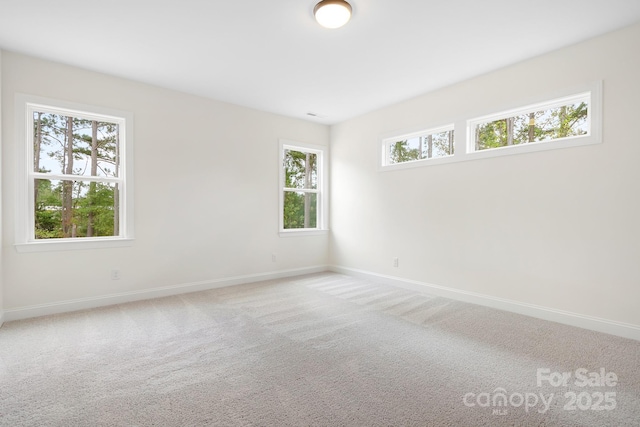 spare room featuring carpet floors