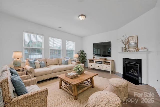 living room featuring light hardwood / wood-style flooring