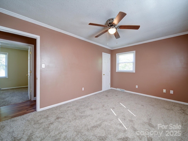 empty room featuring carpet flooring, crown molding, ceiling fan, and a textured ceiling