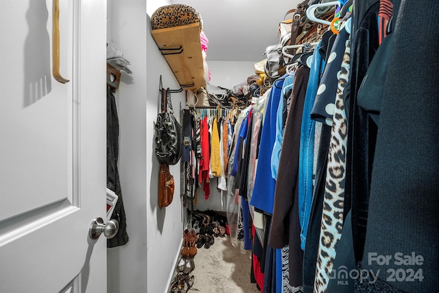 spacious closet featuring carpet flooring