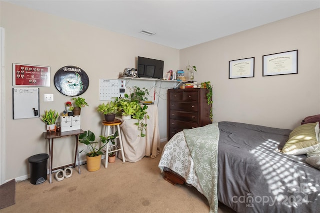 view of carpeted bedroom