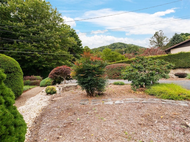 view of yard featuring a mountain view