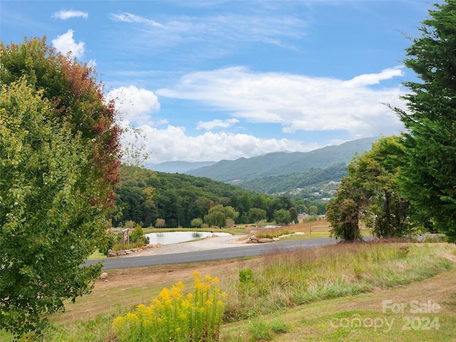 property view of mountains with a rural view