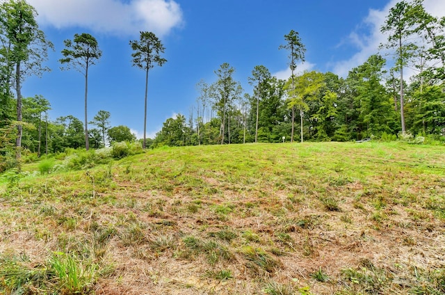 2051 Fasana Rd, York SC, 29745 land for sale