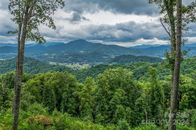 LOT12 Signature Row Blvd, Waynesville NC, 28785 land for sale