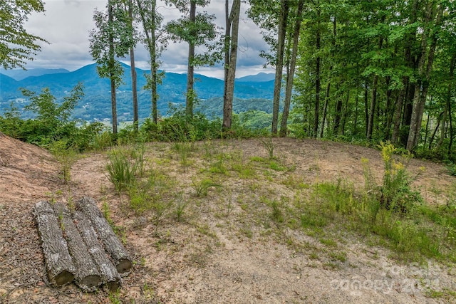 Listing photo 2 for LOT12 Signature Row Blvd, Waynesville NC 28785