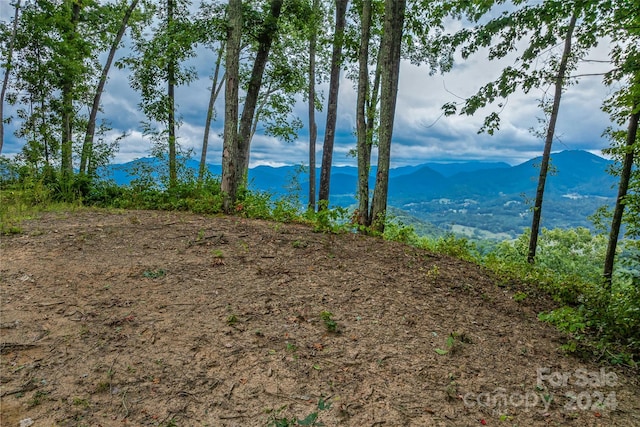 Listing photo 3 for LOT12 Signature Row Blvd, Waynesville NC 28785