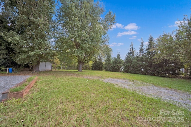 view of yard featuring a storage unit