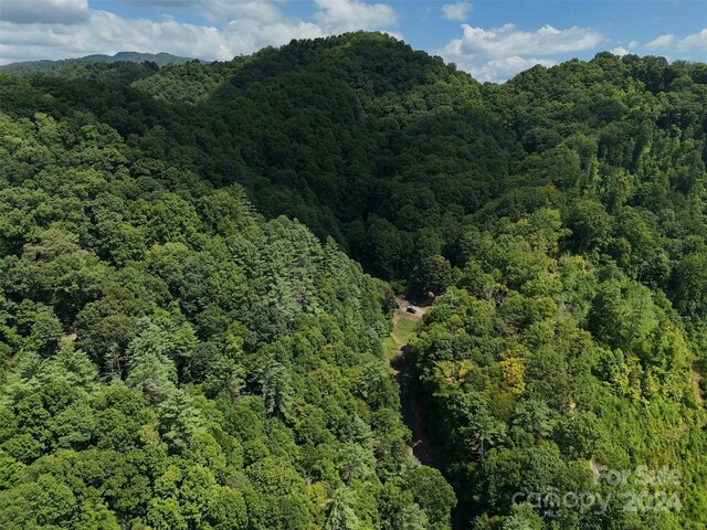 TBD Miller Homestead Rd, Green Mountain, NC 28740 - photo 2