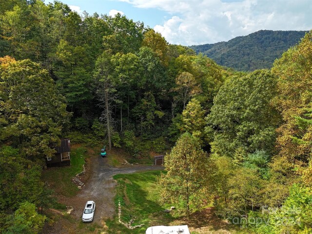 TBD Miller Homestead Rd, Green Mountain, NC 28740 - photo 5