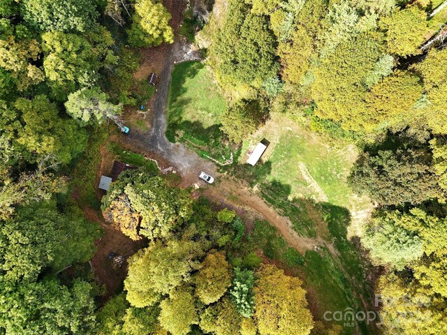 TBD Miller Homestead Rd, Green Mountain, NC 28740 - photo 24