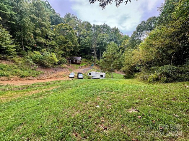 TBD Miller Homestead Rd, Green Mountain, NC 28740 - photo 26