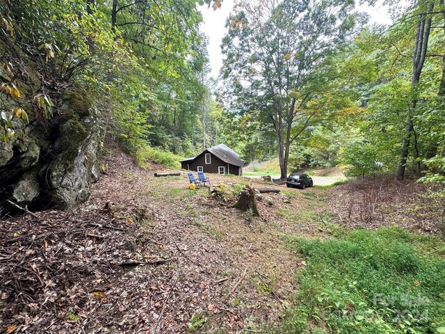 TBD Miller Homestead Rd, Green Mountain, NC 28740 - photo 28