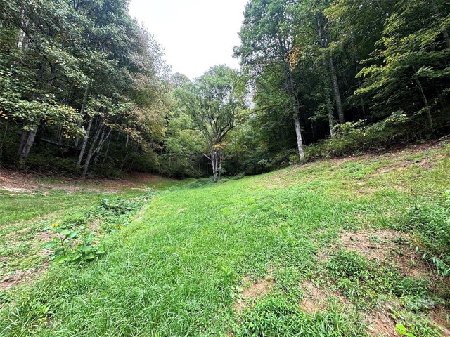 TBD Miller Homestead Rd, Green Mountain, NC 28740 - photo 29